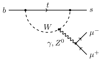 Rare decays of b quarks